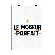 Affiche le mobeur parfait