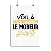 Affiche le mobeur parfait 2