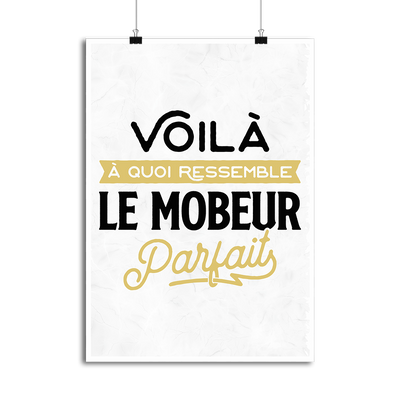 Affiche le mobeur parfait 2