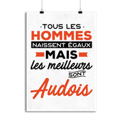Affiche les meilleurs sont audois