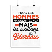 Affiche les meilleurs sont bearnais