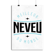 Affiche meilleur neveu