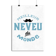 Affiche meilleur neveu du monde