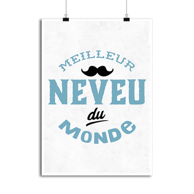 Affiche meilleur neveu du monde