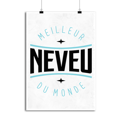 Affiche meilleur neveu