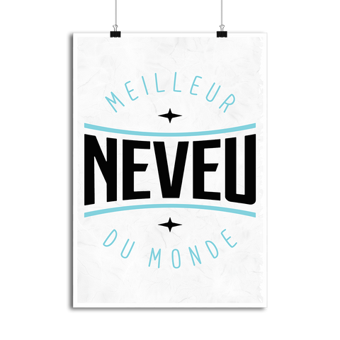 Affiche meilleur neveu