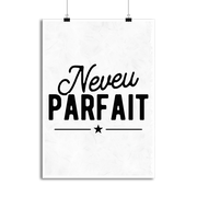 Affiche neveu parfait