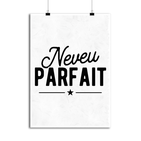 Affiche neveu parfait
