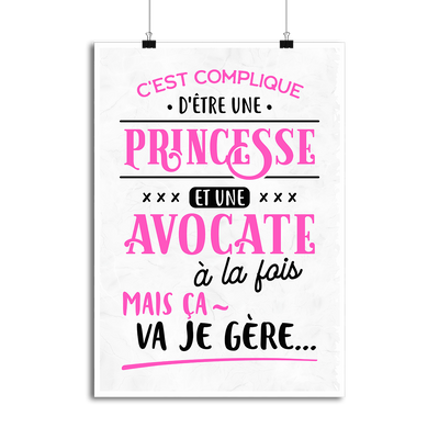 Affiche princesse et avocate