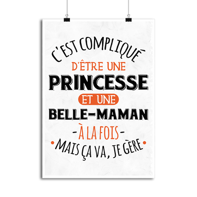 Affiche princesse et belle-maman