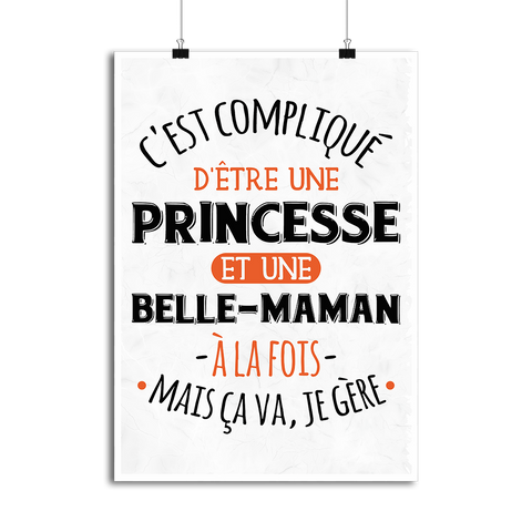 Affiche princesse et belle-maman