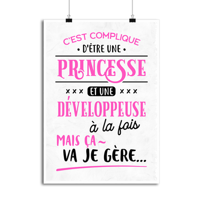 Affiche princesse et développeuse
