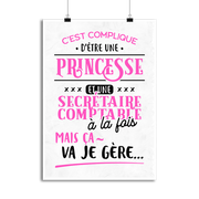 Affiche princesse et secrétaire comptable