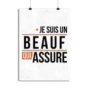 Affiche un beauf qui assure