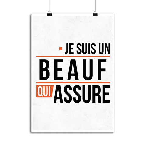 Affiche un beauf qui assure