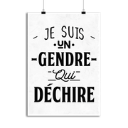 Affiche un gendre qui déchire 2