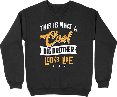 Pull homme a cool big brother
