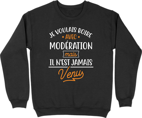 Pull homme boire avec modération