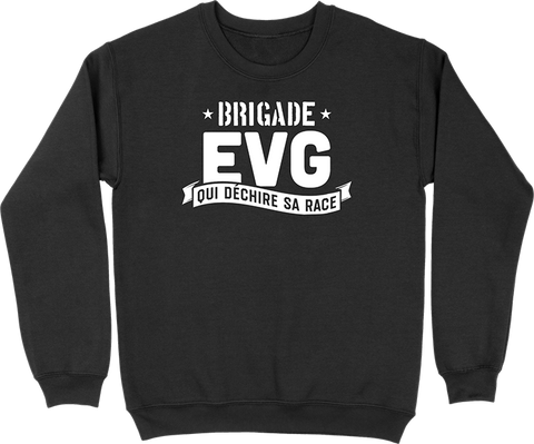 Pull homme brigade evg