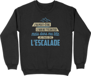 Pull homme dans ma tête escalade