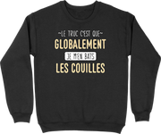 Pull homme globalement je m'en bats