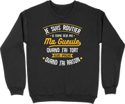 Pull homme j'ai raison je suis routier