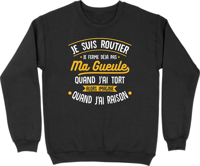 Pull homme j'ai raison je suis routier