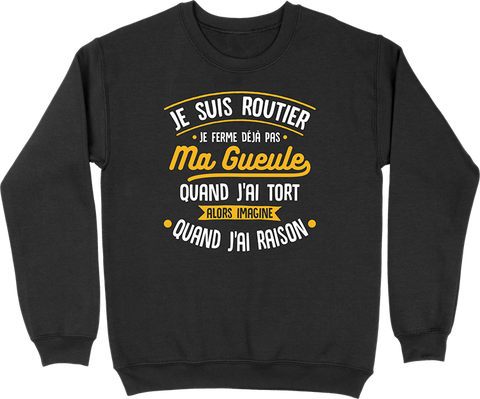 Pull homme j'ai raison je suis routier