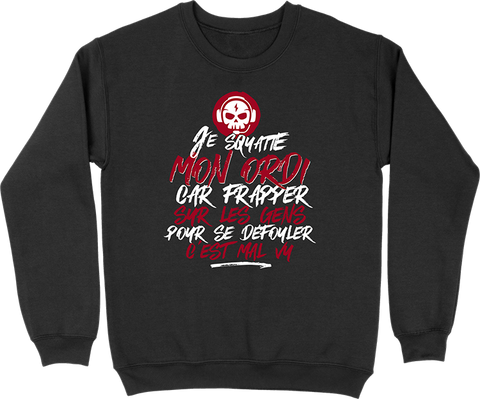 Pull homme je squatte mon ordi