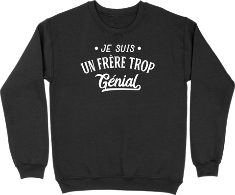 Pull homme je suis un frère trop génial