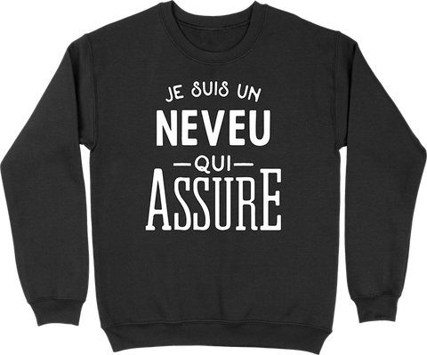 Pull homme je suis un neveu qui assure