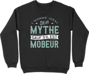 Pull homme l'homme idéal est mobeur