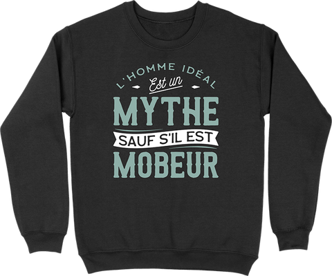 Pull homme l'homme idéal est mobeur