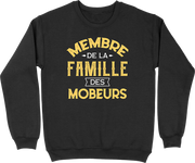 Pull homme la famille des mobeurs