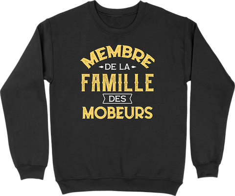 Pull homme la famille des mobeurs