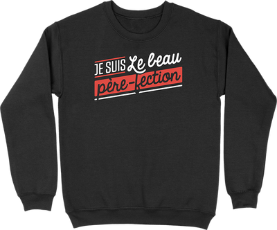 Pull homme le beau père-fection