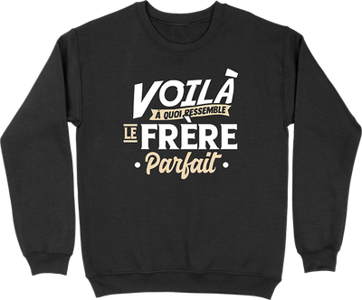 Pull homme le frère parfait