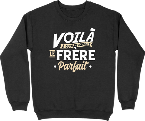 Pull homme le frère parfait
