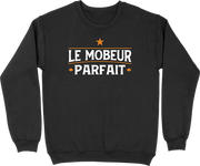 Pull homme le mobeur parfait