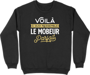 Pull homme le mobeur parfait 2