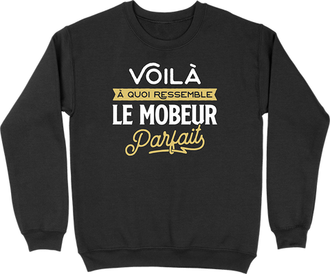 Pull homme le mobeur parfait 2