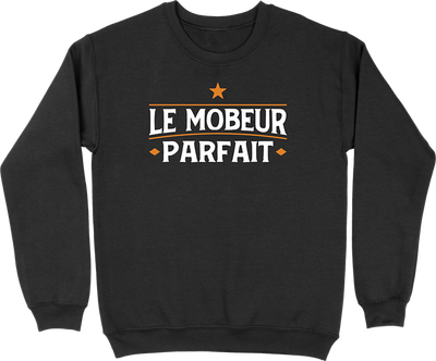 Pull homme le mobeur parfait