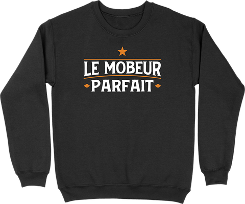 Pull homme le mobeur parfait