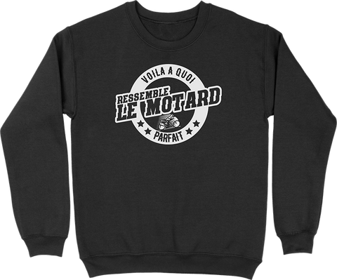 Pull homme le motard parfait