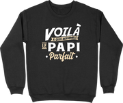 Pull homme le papi parfait