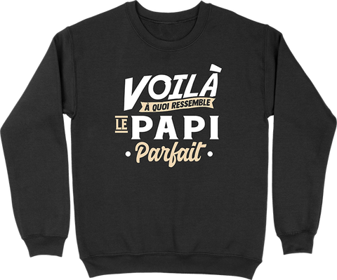Pull homme le papi parfait