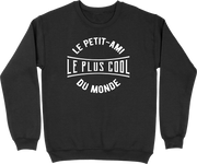 Pull homme le petit-ami le plus cool du monde