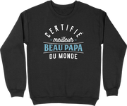 Pull homme meilleur beau papa