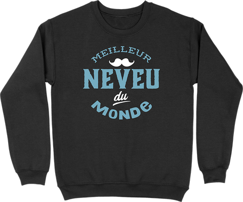Pull homme meilleur neveu du monde