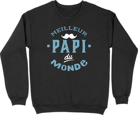 Pull homme meilleur papi du monde